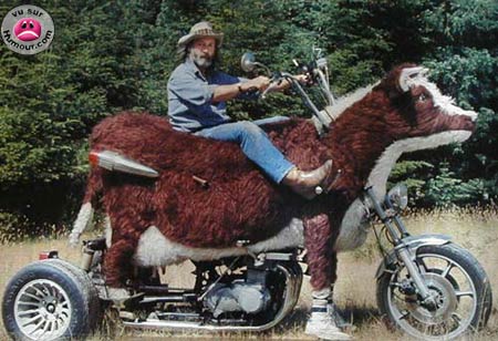 http://www.epco.aero/image/cowcycle.jpg